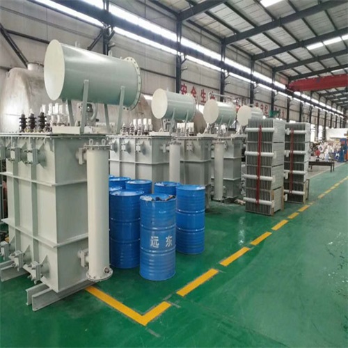 和布克赛尔S20-6300KVA油浸式变压器